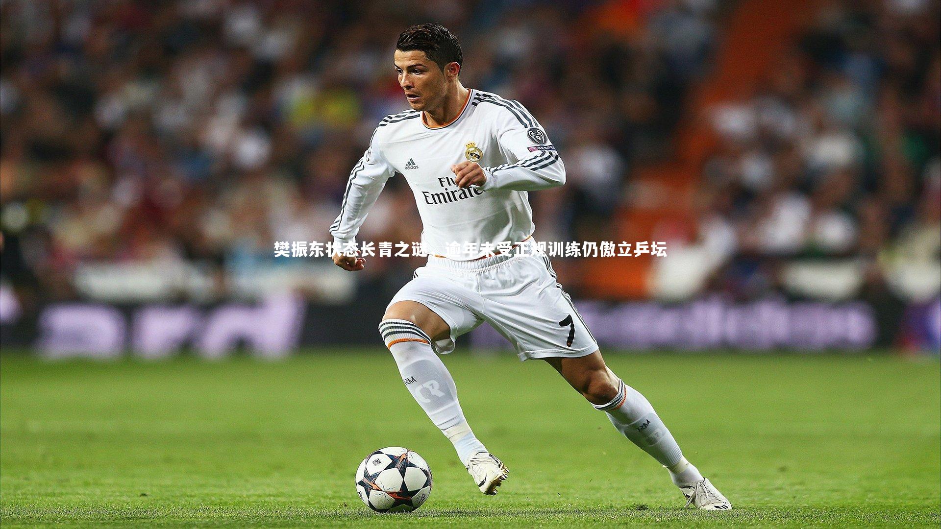 樊振东状态长青之谜，逾年未受正规训练仍傲立乒坛